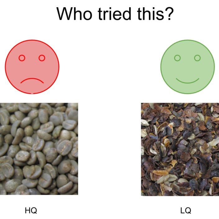 CoffeeMind: your premier destination for mastering the art and science of coffee