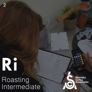 CoffeeMind: your premier destination for mastering the art and science of coffee