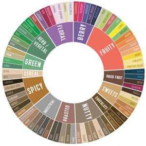 CoffeeMind: your premier destination for mastering the art and science of coffee