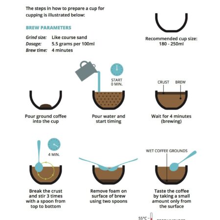 CoffeeMind: your premier destination for mastering the art and science of coffee