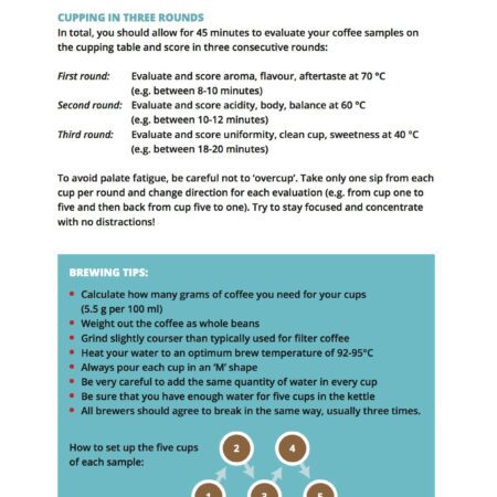 CoffeeMind: your premier destination for mastering the art and science of coffee