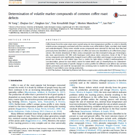 CoffeeMind: your premier destination for mastering the art and science of coffee