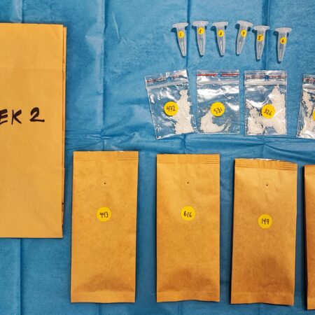 CoffeeMind: your premier destination for mastering the art and science of coffee