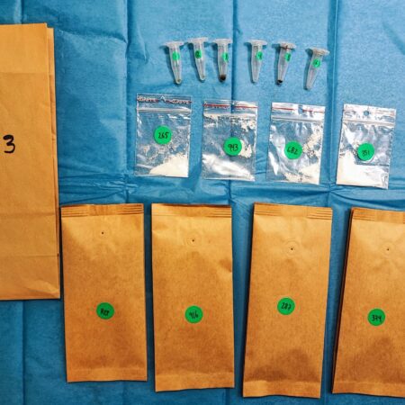 CoffeeMind: your premier destination for mastering the art and science of coffee