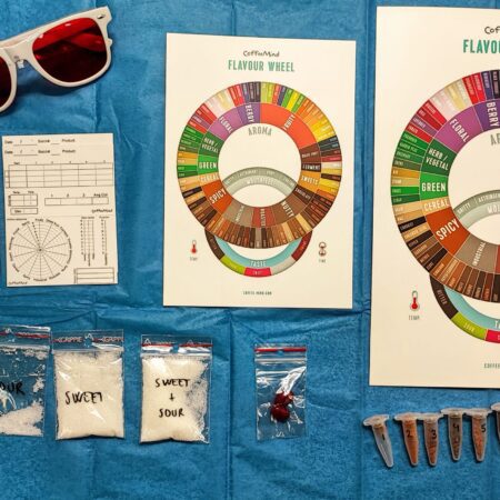 CoffeeMind: your premier destination for mastering the art and science of coffee