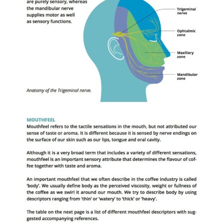 CoffeeMind: your premier destination for mastering the art and science of coffee