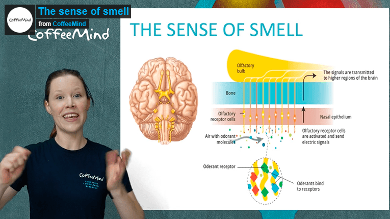 CoffeeMind: your premier destination for mastering the art and science of coffee