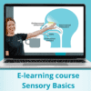 Sensory Basics